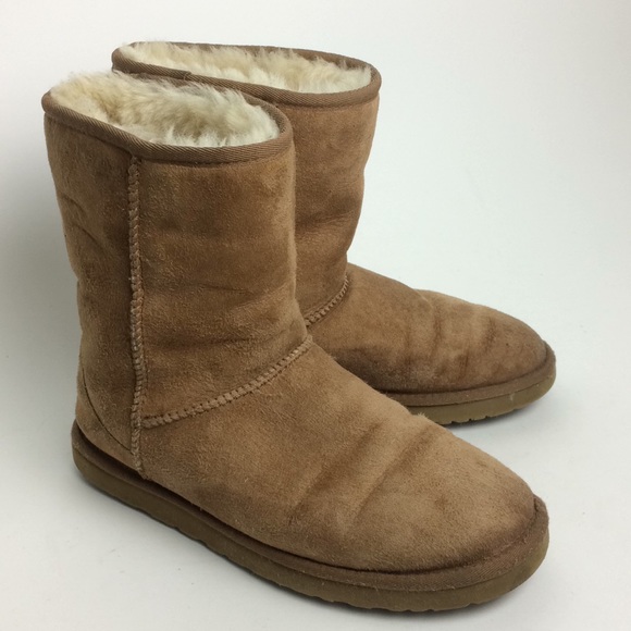 UGG Shoes - UGG Women's Chestnut Classic Short Boot Size 8